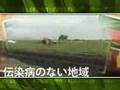 Productos sonorenses (japones)