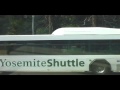 Forever Green: Yosemity,Ca. Lifestyle Tour Forever Green: Yosemity,Ca. Lifestyle Tour