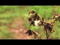 expanding-light-lifestyles-for-radiant-health-beth.html