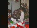 videos de video kristan