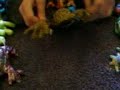 this is ma wee sisters collection of frog toys and i let ma imagination run wild while creating this short music video ..done with the help of lucy steele ,lorna gemmell and me ,rebecca steele x