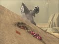 Halo 3 funny pictures