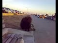 Hairiest Chow Chow in the world...