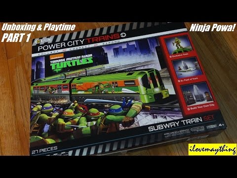 how to train turtles