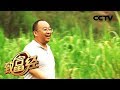 《致富经》父亲一句话 孝子千万财 20181024 | CCTV农业