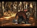 Southern Strutting - Backwoods Life 8.12