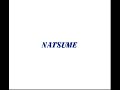 publisher: natsume release date: 11/10/1989 id nat-dm www.famicomfreak.blogspot.com retro gaming life