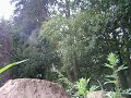 Airwalk  auf dem Heede dirt