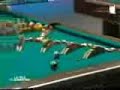 Domino Pool