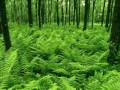 Simple Relaxation -- A Guided Meditation