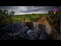 La Ruta Vino Rioja Alta.mp4