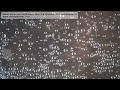 fewer tonics and stimulants than the lymhatic This constitu.mov