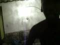 Trapping Bussiness.wmv