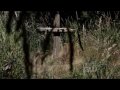 Supernatural - Dean Nobody Knows
