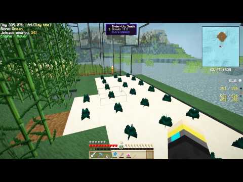 how to grow ender lily