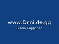 Bisou - Püppchen drini
