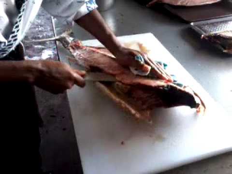 how to bleed tuna for sushi