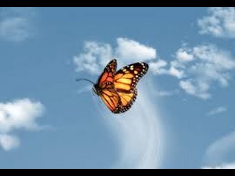 how to meditate efficiently