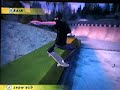 Wii Skate It Danny Ways Mega Park (GLITCH)