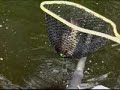Tight Lines Visions for Today Fly Fishing Show