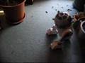 Interactive R2 D2