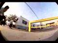 DVS Shoes Company: Zered Bassett