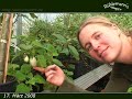 R�hlemann�s *2* \"Simone entdeckt die G�rtnerei\"