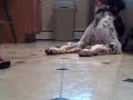 Waiting For My Treat Waiting For My Treat