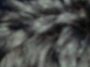 Thumbnail #1