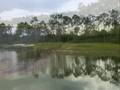 Mediterra Golf Course David Auston Amerivest Realty Naples F