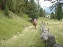 ASIA A CAVALLO