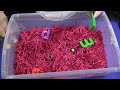 Sensory Table - Magnets