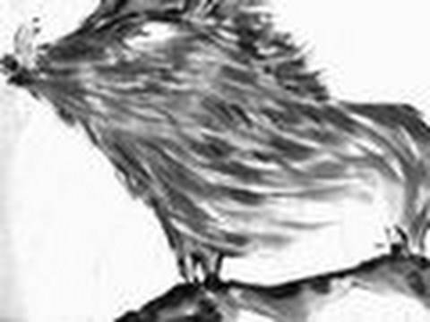 水墨画墨絵「亥いのしし」Sumi-e New Year Greeting Card