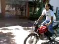 willi parado