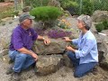 Scree Garden