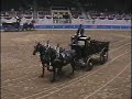 2007 Royal Agricultural Winter Fair Percheron Mares