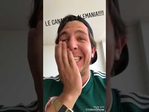 動画