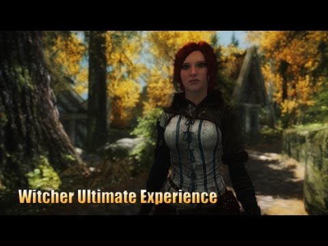 how to meditate witcher 2