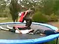 Trampoline Bodyslams