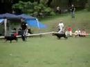 Chiwa Eyck APRO Nacional 2006