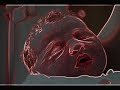 Anna Mia is born