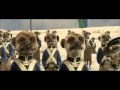 Compare the Market: Compare the Meerkat - Meerkat vs Mongoose