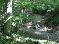 Haddonfield's Dinosaur Discovery Site