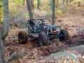 Catillac Rock Buggy