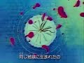 sailor moon limba o-zone