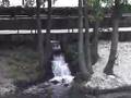 Góis - Praia Fluvial