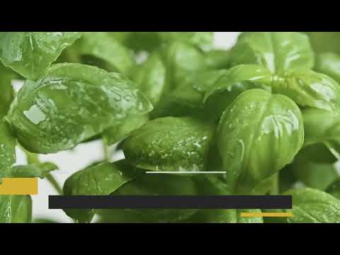 State Institute of Hotel Management Sidhpur General video thumbnail 4