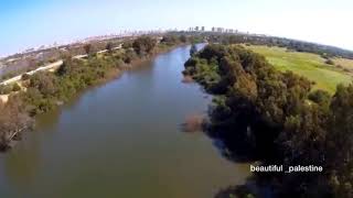 قرية السافرية المهجرة يافا فلسطين ??