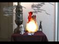 Fire Walking with Ricardo Lizard!!!