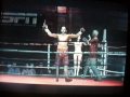The Cobra vs The Golden Boy